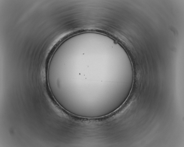 X0000114070934200910191519