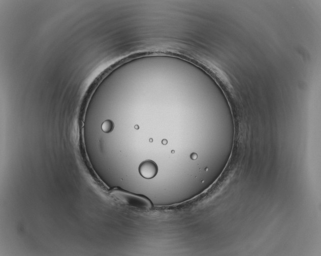 X0000114070936200910191519