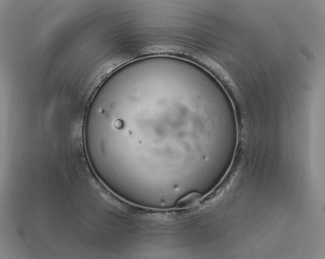 X0000114070937200910191519