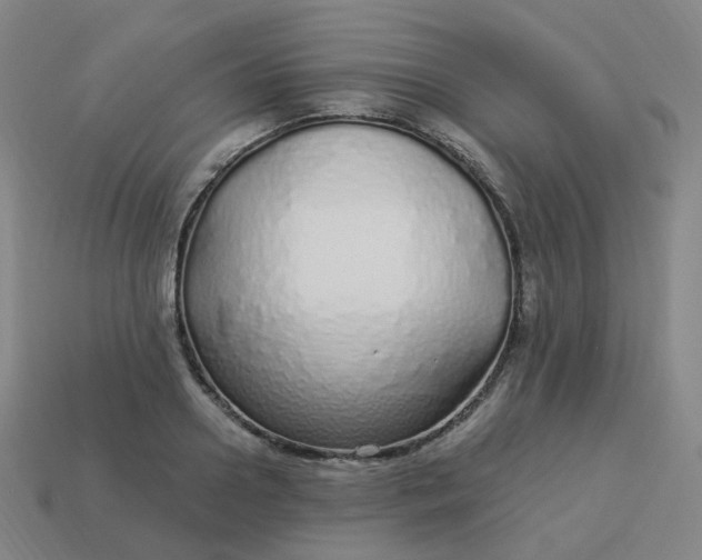 X0000114070938200910191519