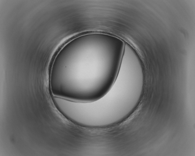 X0000114070940200910191519