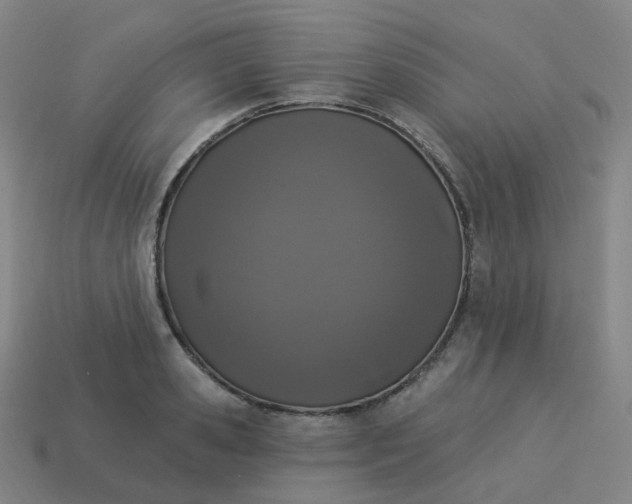 X0000114070941200910191519