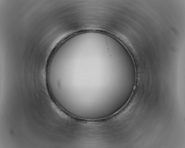 X0000114070942200910191519