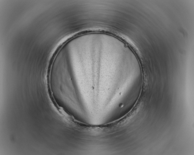 X0000114070943200910191519