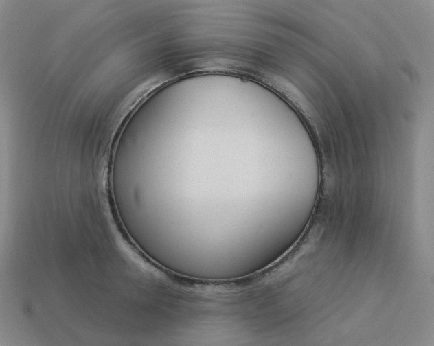 X0000114070946200910191519