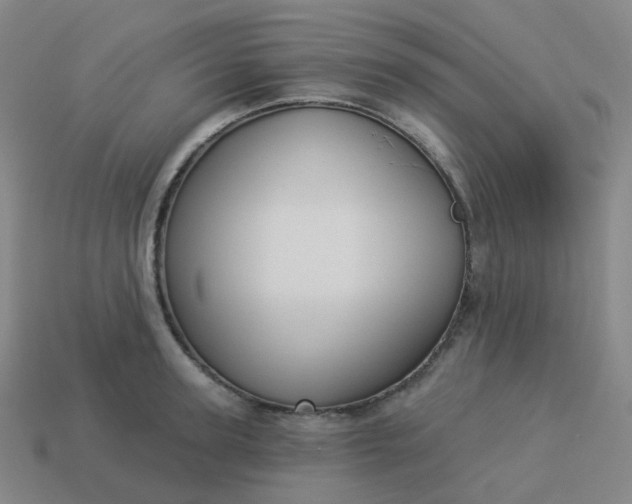 X0000114070947200910191519