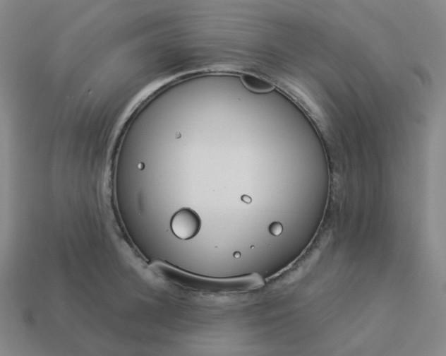 X0000114070948200910191519