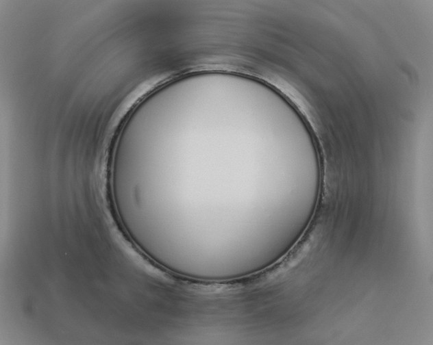 X0000114070949200910191519