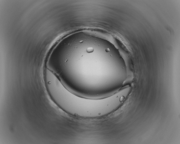 X0000114070950200910191519