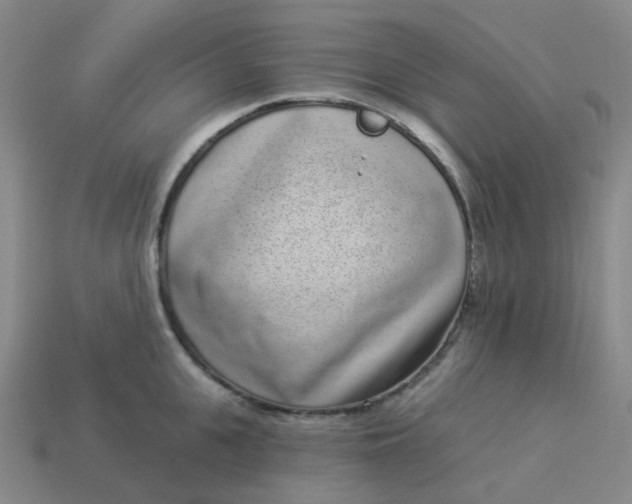 X0000114070951200910191519