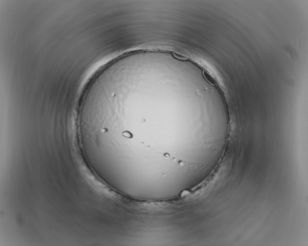 X0000114070952200910191519