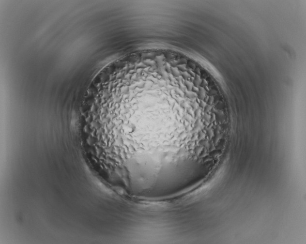 X0000114070953200910191519