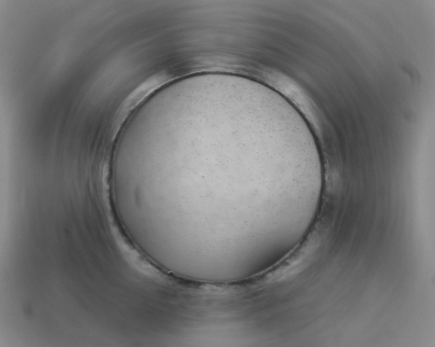 X0000114070954200910191519