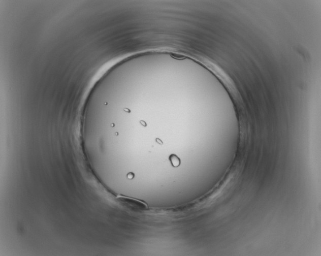 X0000114070956200910191519