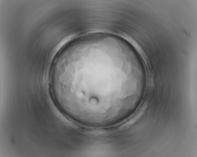 X0000114070957200910191519