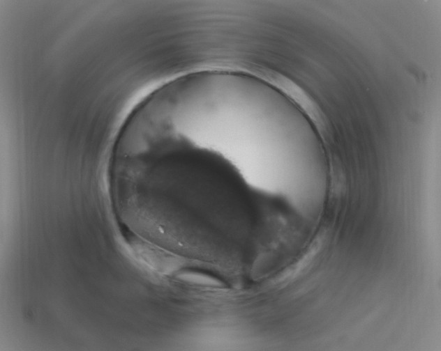 X0000114070958200910191519