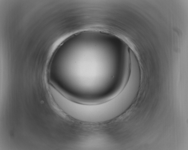 X0000114070960200910191519