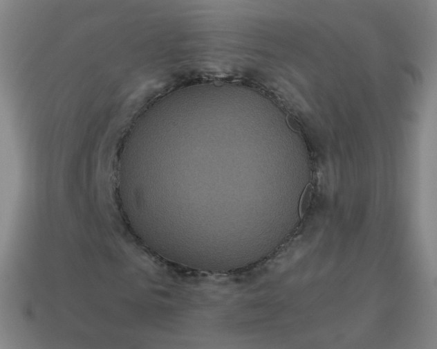 X0000114070961200910191518