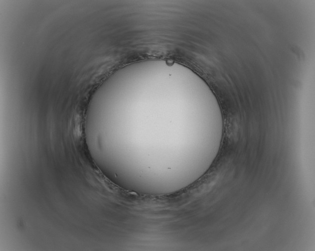 X0000114070962200910191518