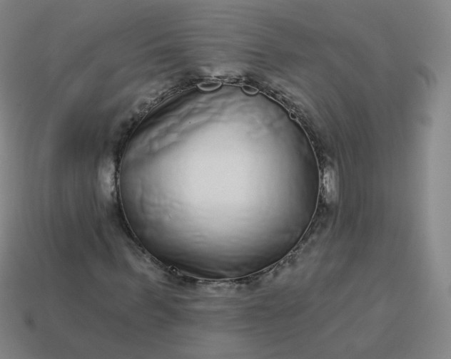 X0000114070963200910191518