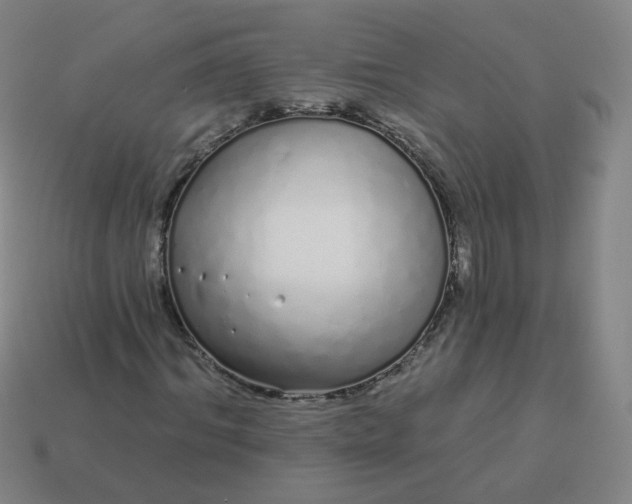 X0000114070964200910191518