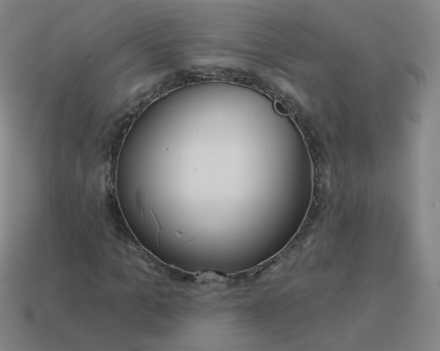 X0000114070965200910191518