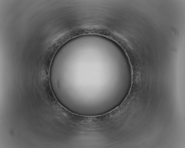 X0000114070966200910191518