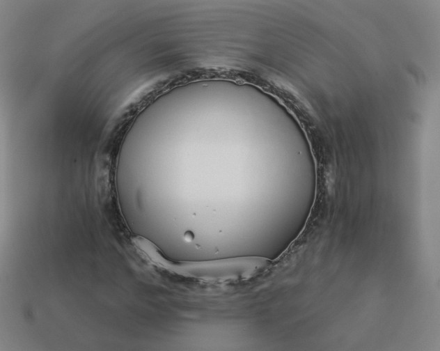 X0000114070968200910191518