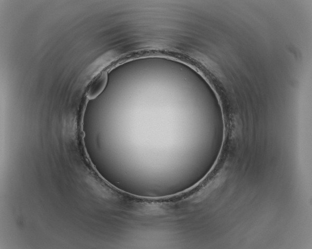 X0000114070969200910191518