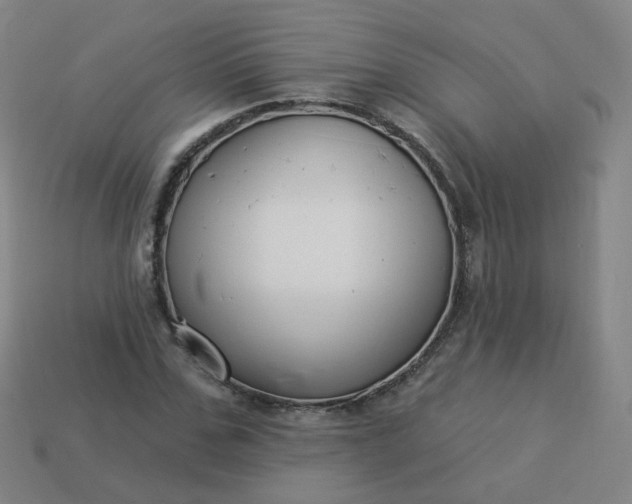 X0000114070971200910191518