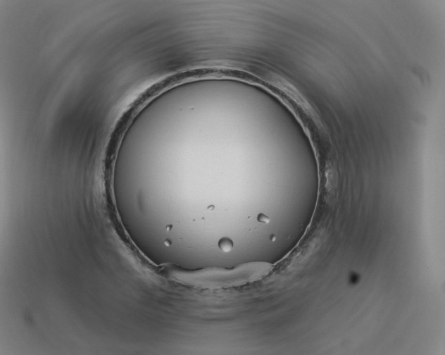 X0000114070972200910191518