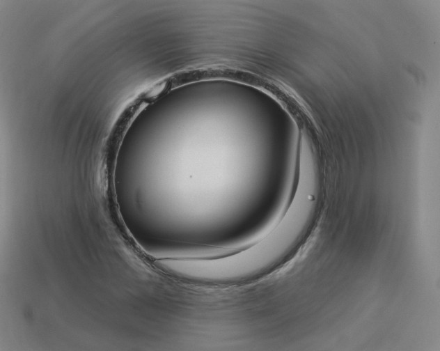 X0000114070973200910191518