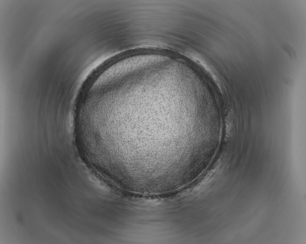 X0000114070975200910191518