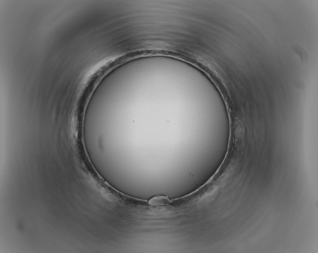 X0000114070979200910191518