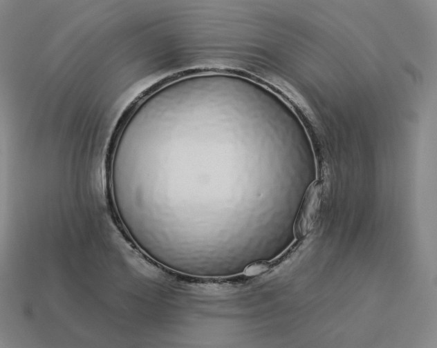 X0000114070980200910191518