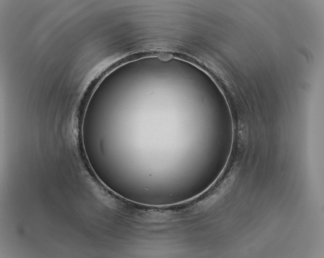 X0000114070981200910191518