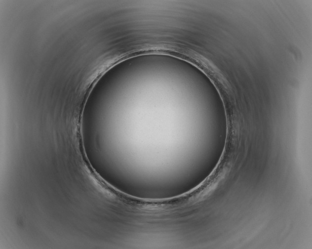 X0000114070985200910191518