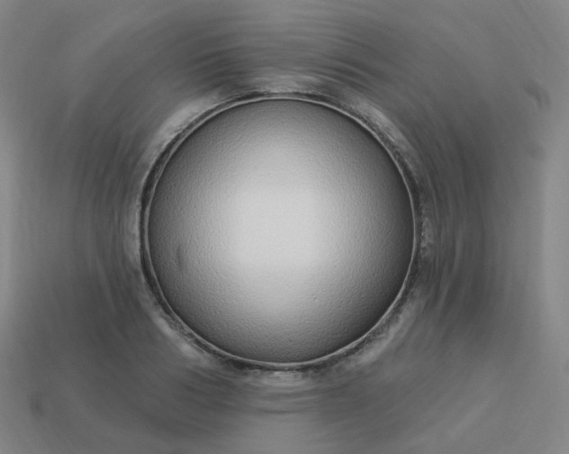 X0000114070986200910191518