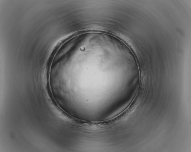 X0000114070987200910191518