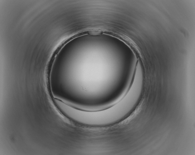 X0000114070989200910191518