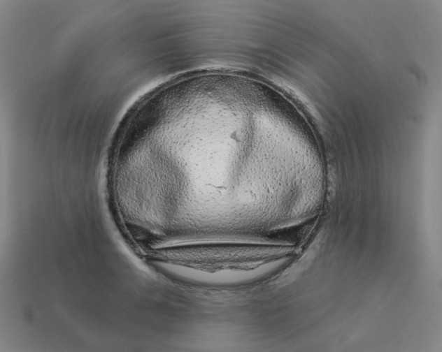 X0000114070991200910191518