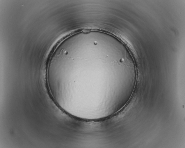 X0000114070992200910191518