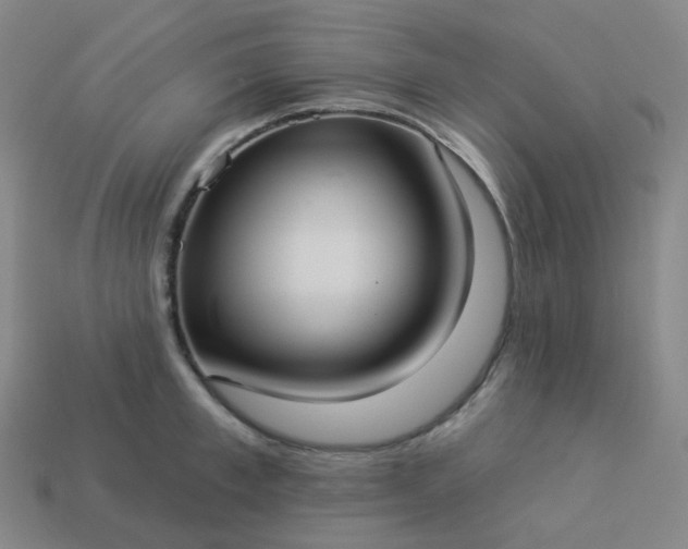 X0000114070997200910191518