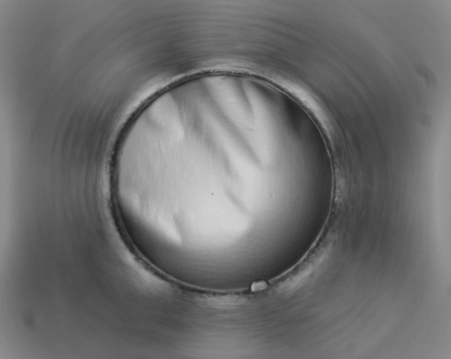 X0000114070999200910191518