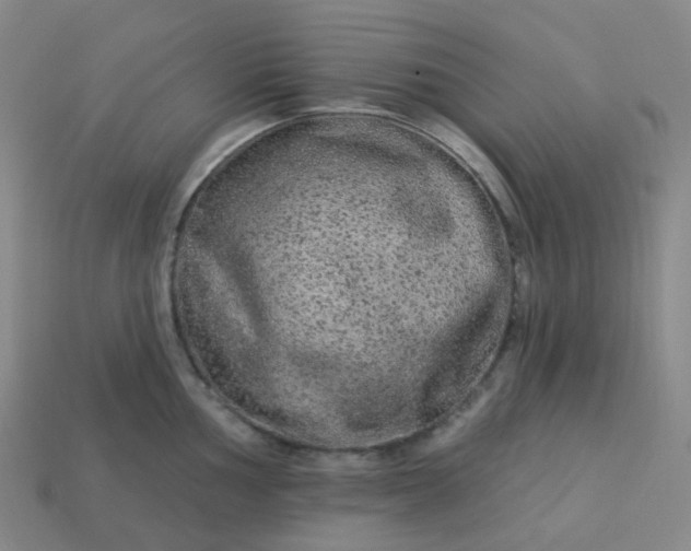 X0000114071002200910191518