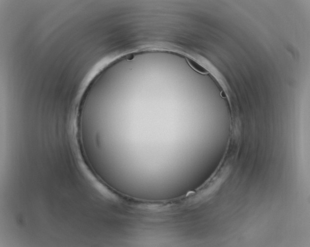 X0000114071005200910191518