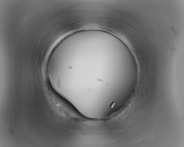 X0000114071008200910191518