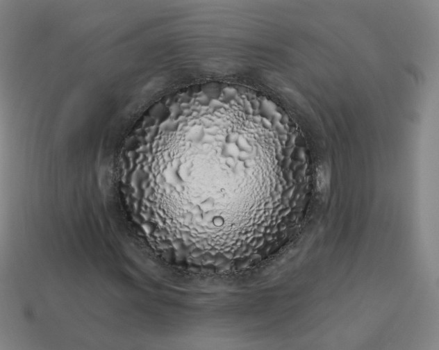 X0000114071011200910191517