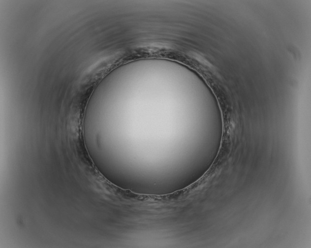 X0000114071014200910191517