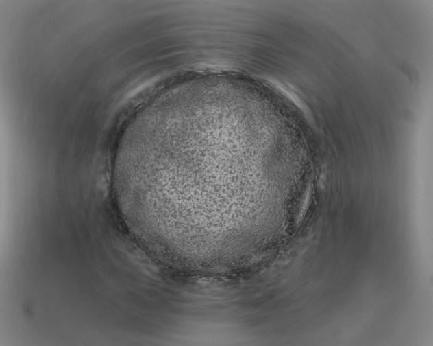 X0000114071015200910191517